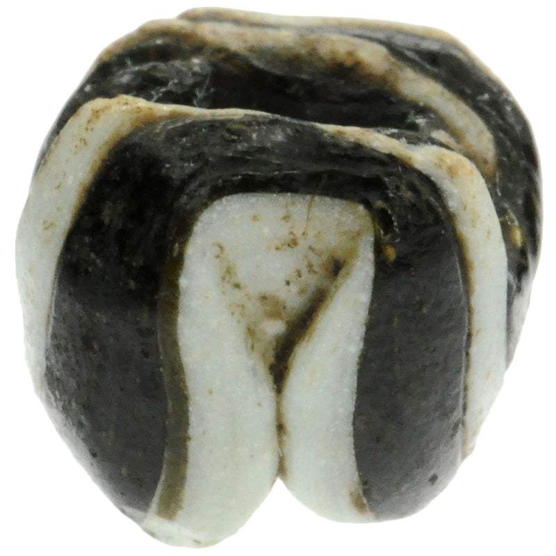Antique Black & White Folded Glass Bead - Fustat, 1200 Ad - close-up