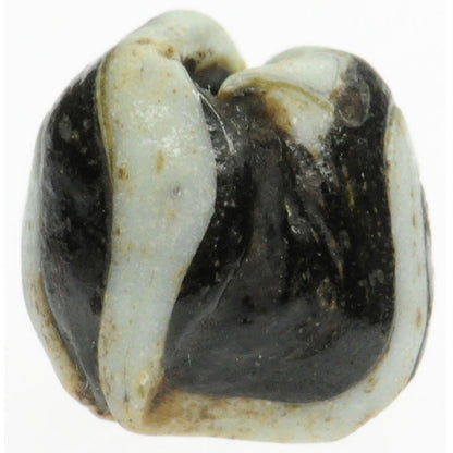 Antique Black & White Folded Glass Bead - Fustat, 1200 Ad